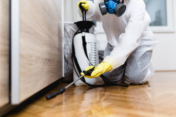Best Affordable Pest Control Services  in Chaparral, NM