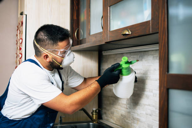 Best Best Pest Control Companies  in Chaparral, NM