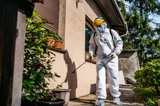 Best Bed Bug Extermination  in Chaparral, NM