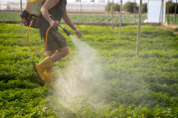 Best Mosquito Control Services  in Chaparral, NM