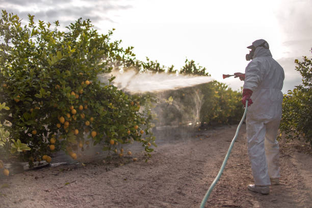 Best Emergency Pest Control  in Chaparral, NM