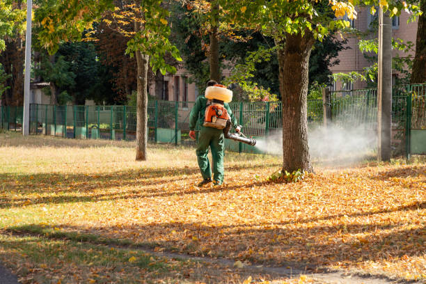 Best Pest Removal Services  in Chaparral, NM