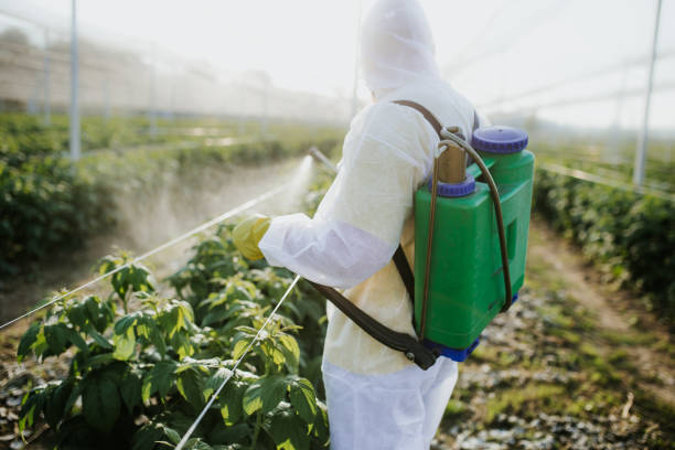 Best Pest Removal Services  in Chaparral, NM